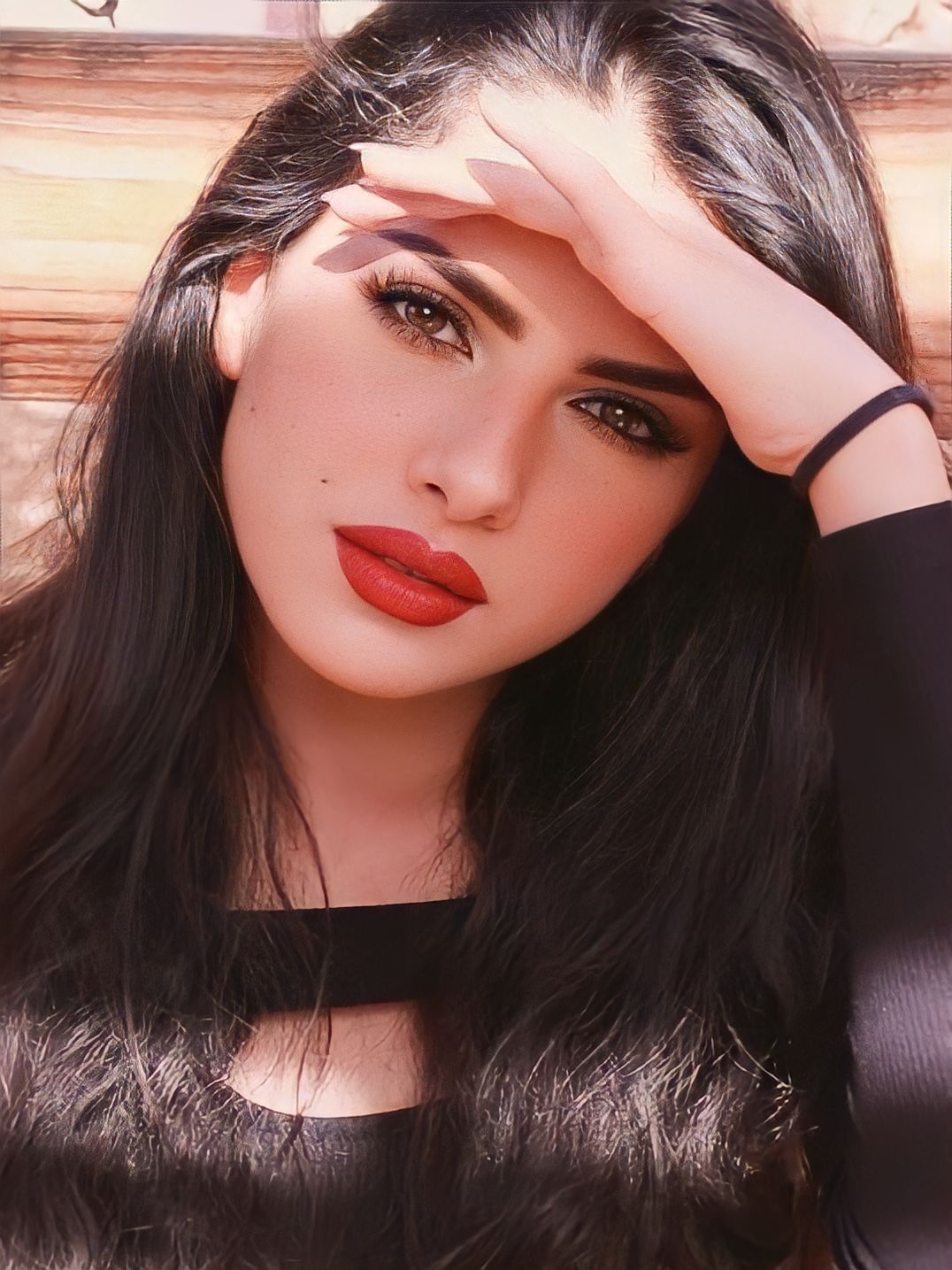 DiDEM TEMALARI